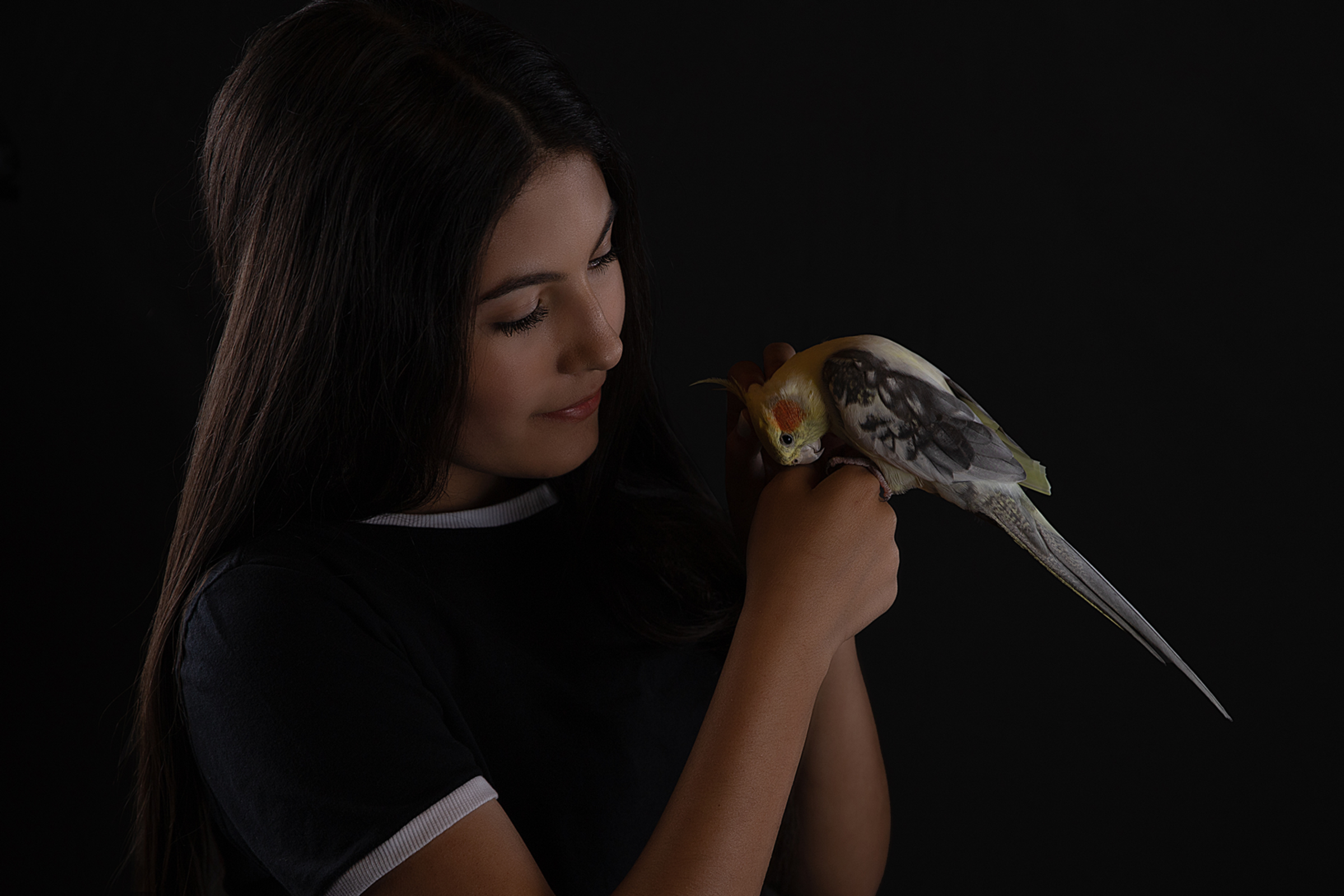 Foto de dinosilveirafotografia 7