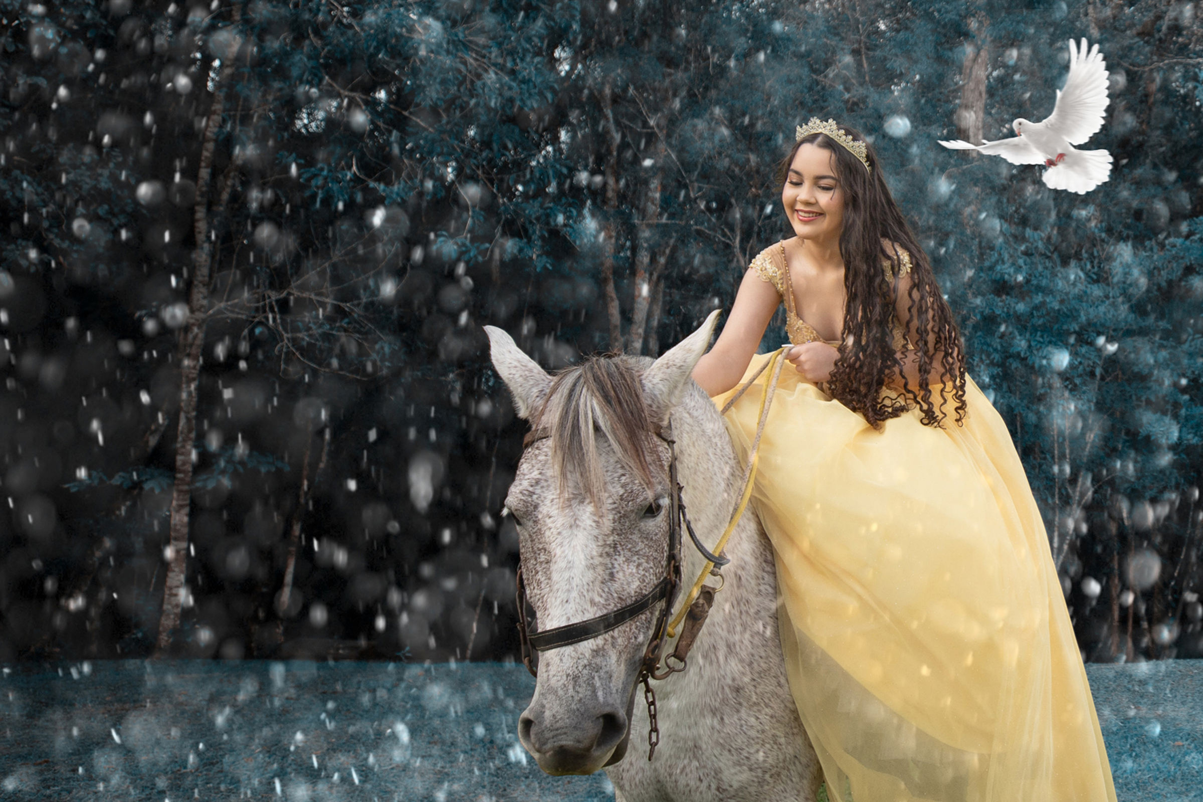 Foto de dinosilveirafotografia 1