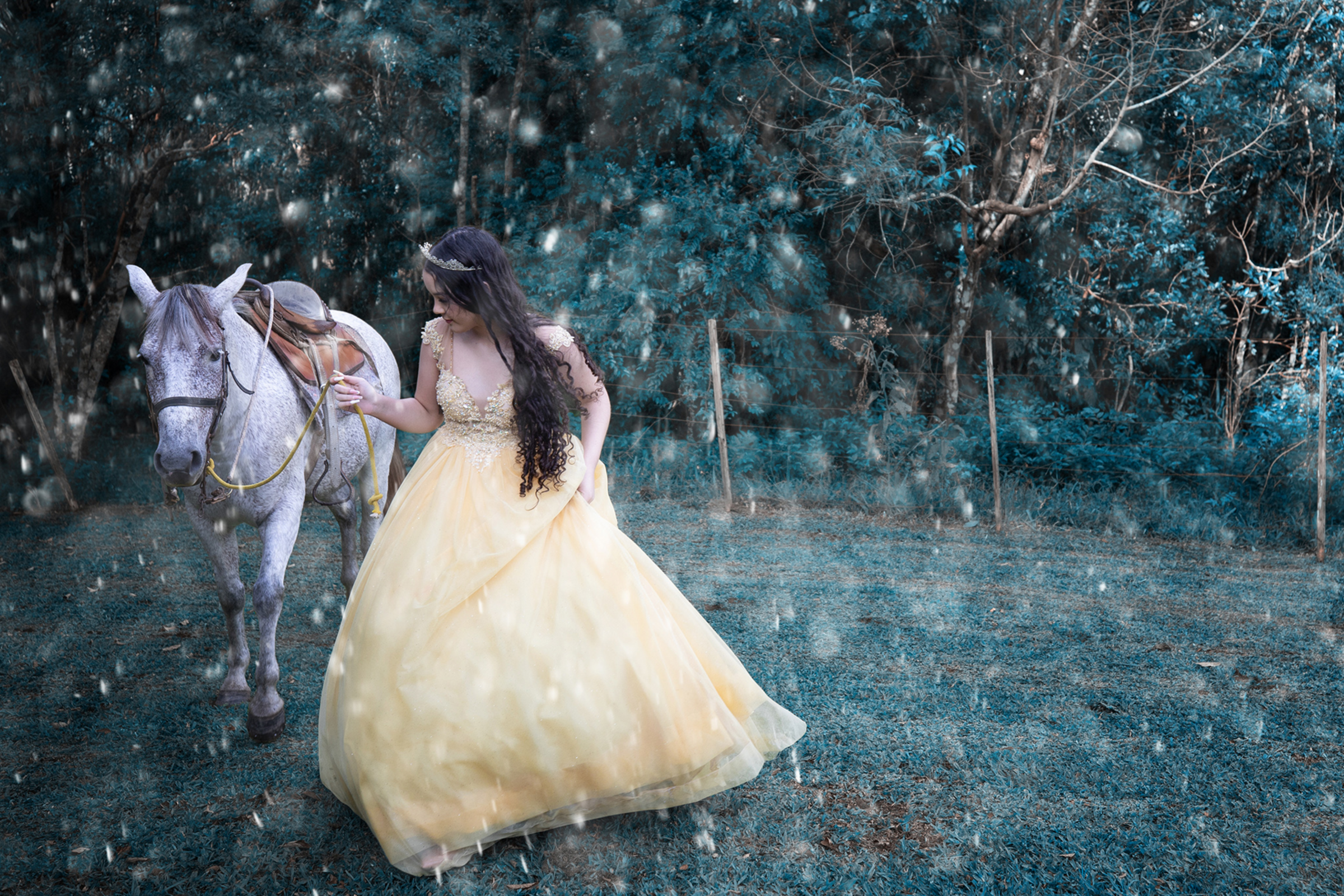 Foto de dinosilveirafotografia 3